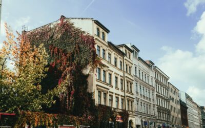 Léa-Syndic depuis le confinement